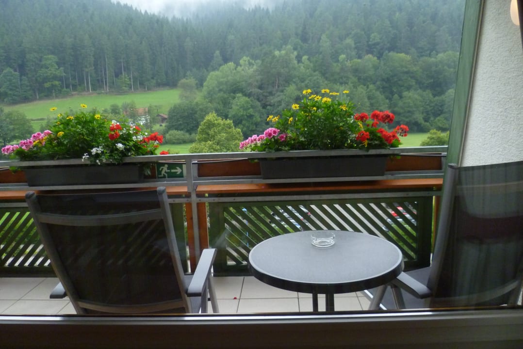 Ausblick Enztalhotel