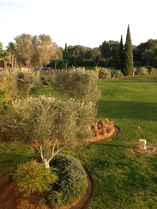 Gartenblick Hacienda Son Antem Golf Resort, Autograph Collection