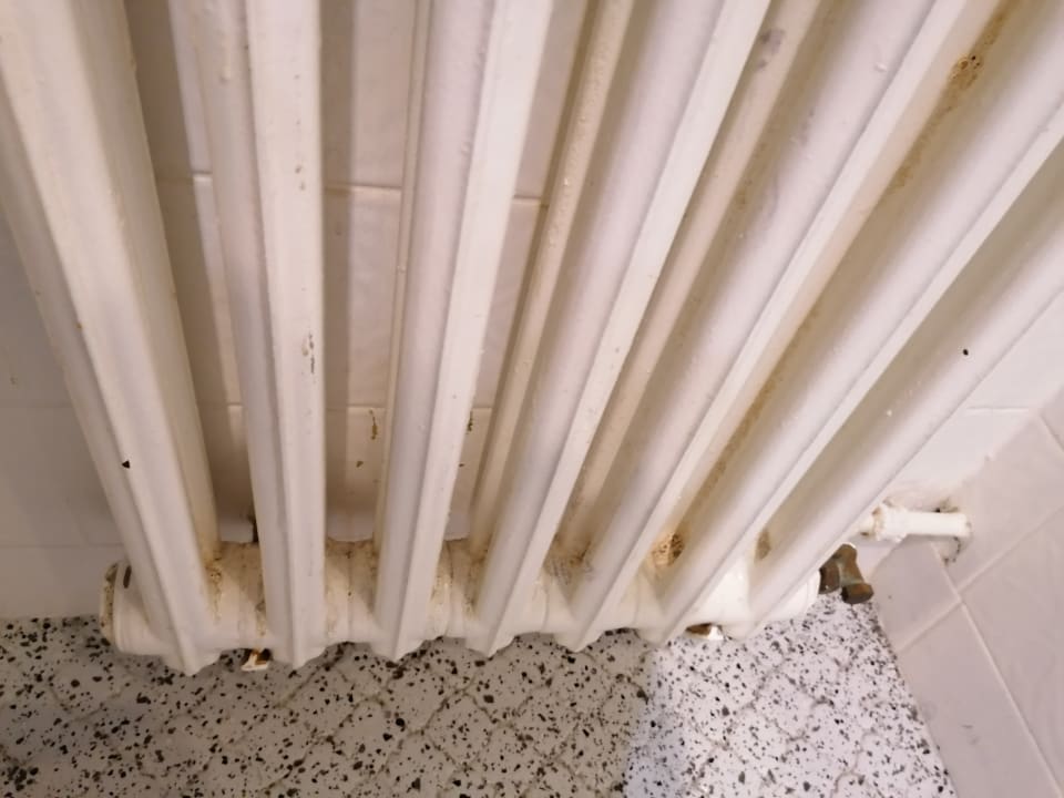 Zimmer SMARTY Cologne City Center Hotel | Hostel | Boardinghouse