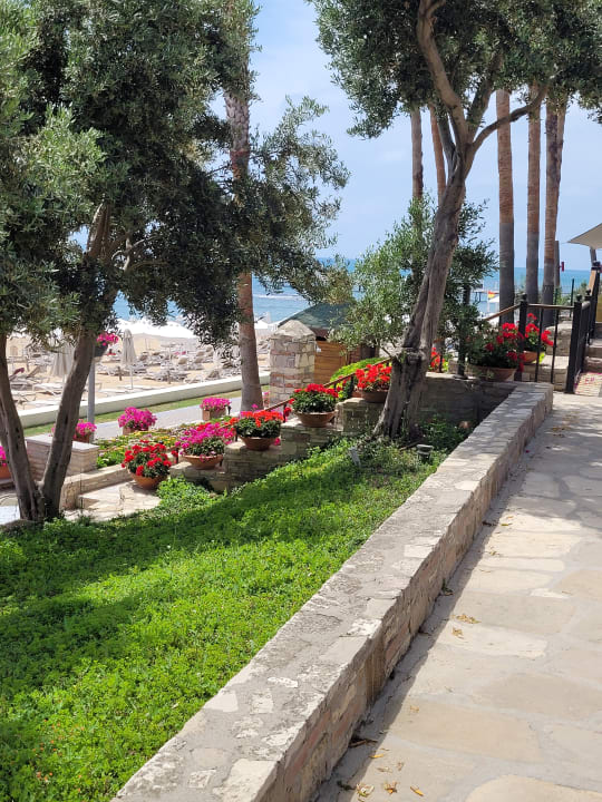 Gartenanlage Arum Barut Collection