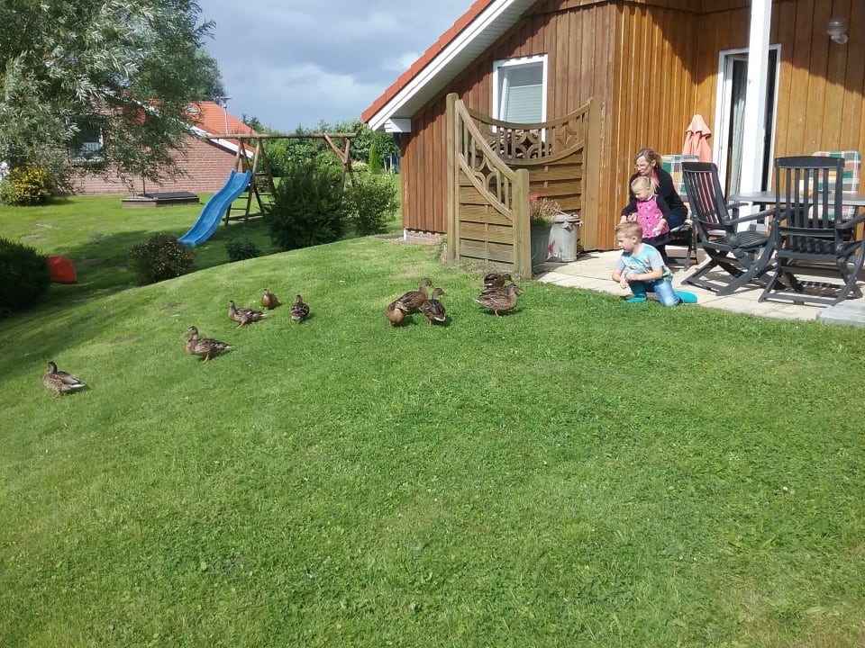 Noch mehr Besuch Ferienhaus Wattschnecke