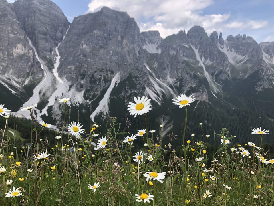 Ausblick Hotel Donnerhof