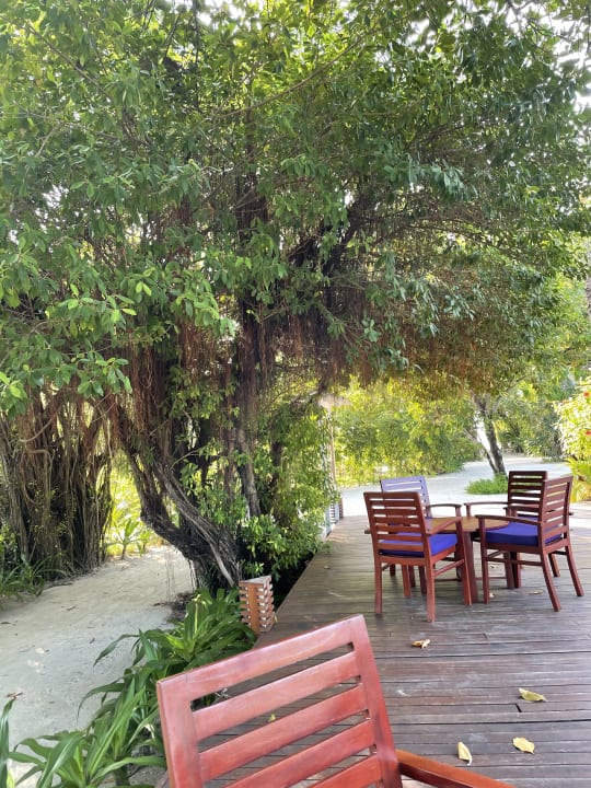 Gastro Sun Siyam Olhuveli