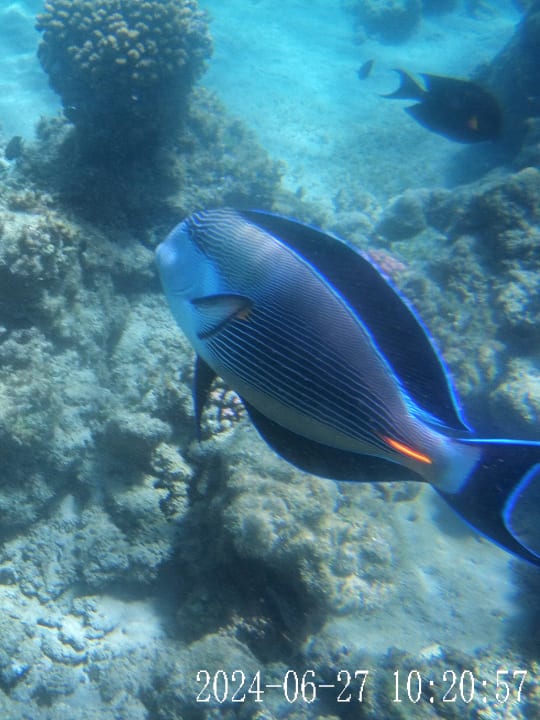 Sport & Freizeit Cleopatra Luxury Resort Makadi Bay