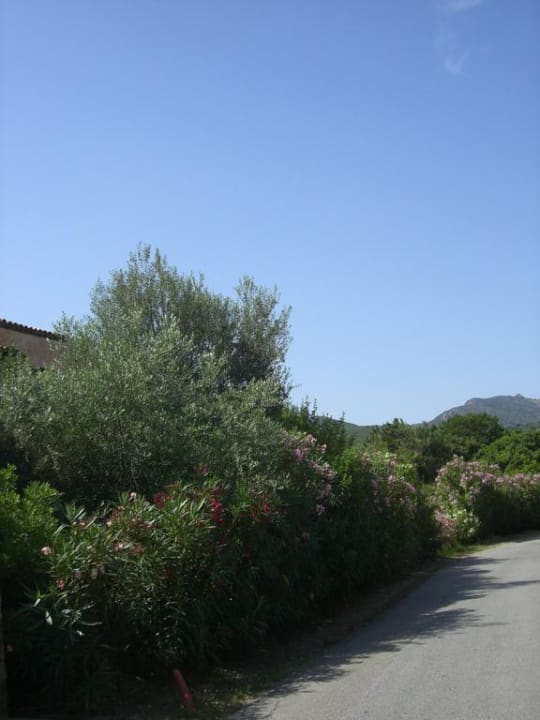 Weg zum Appartment Il Borgo di Punta Marana