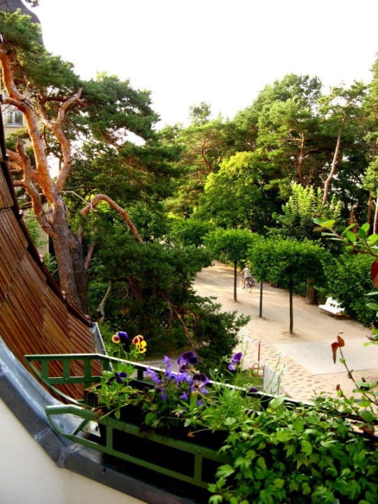 Blick vom Balkon im ersten Stock Villa Harmonie