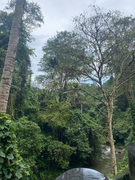 Ausblick Maya Ubud Resort & Spa Bali