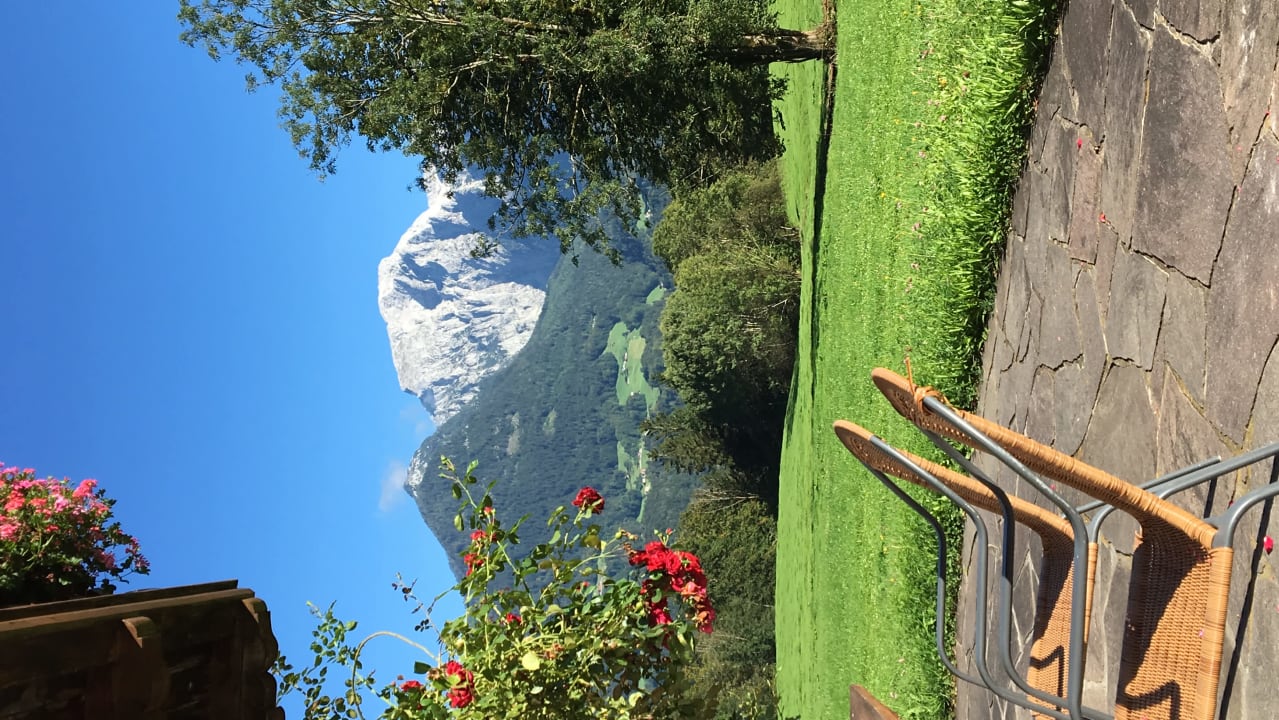 Ausblick Kressenlehen FeWo