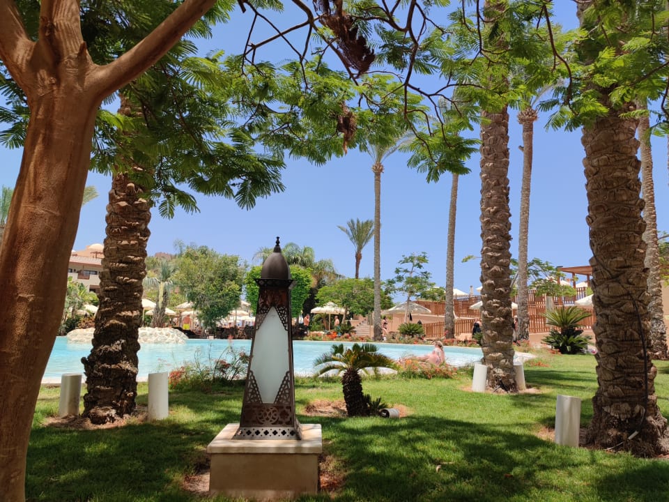 Pool Makadi Spa - Adults only