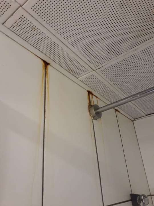 Zimmer AQI Pegasos World