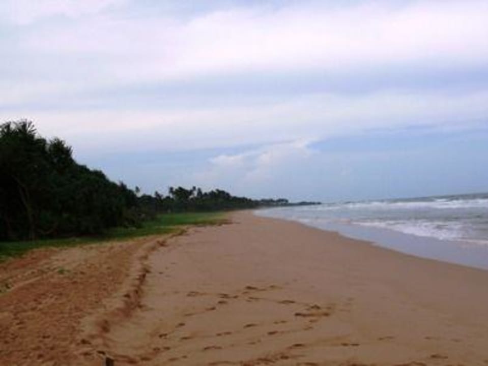 noch Fragen Thaala Bentota