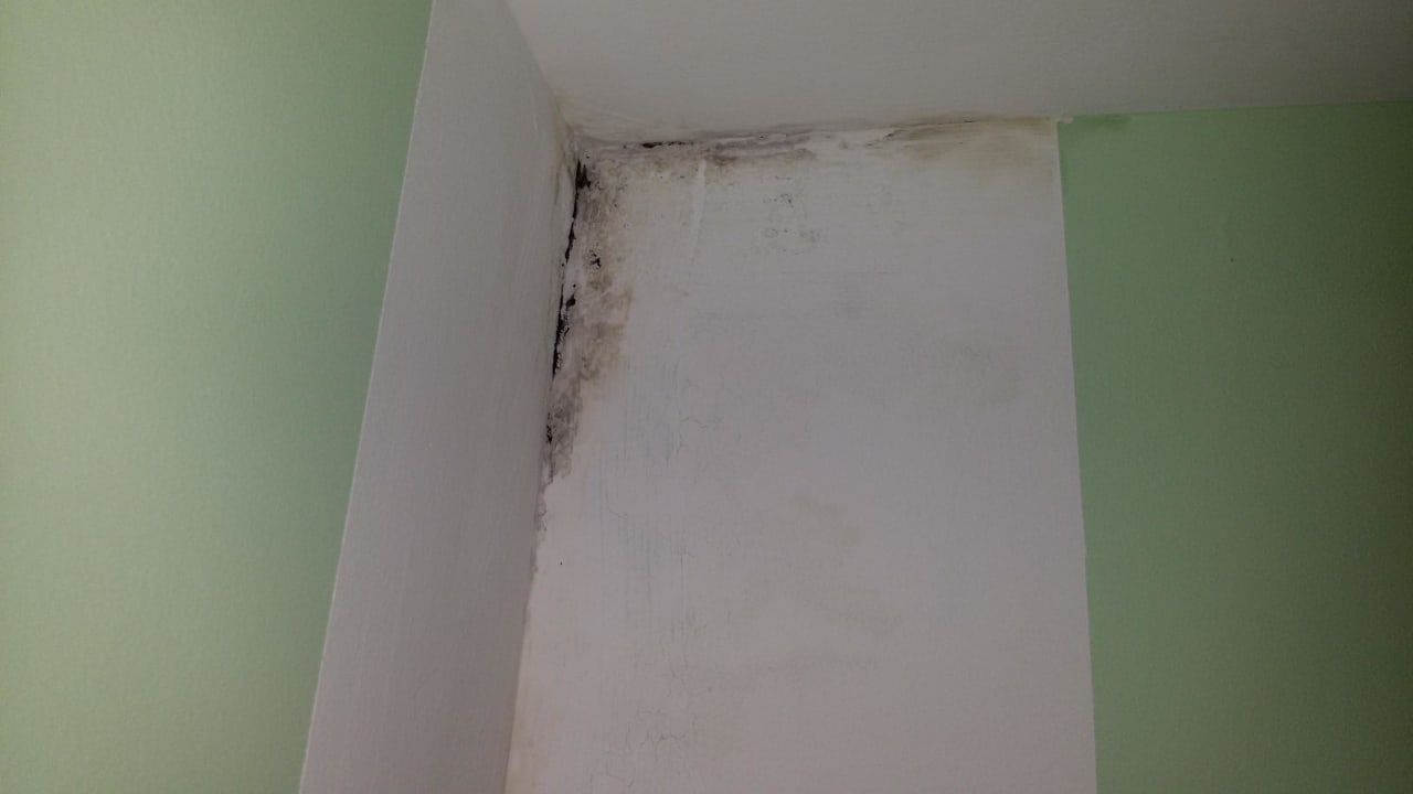 Bäh Hotel Nevada Hamburg