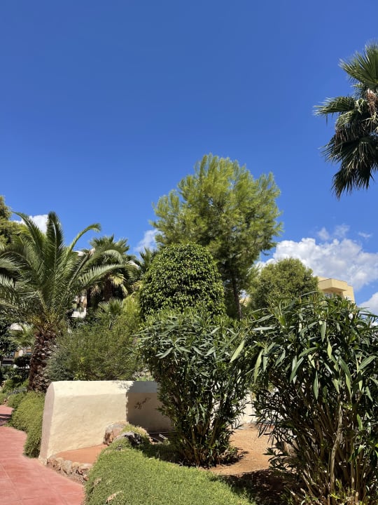 Gartenanlage Club Can Bossa