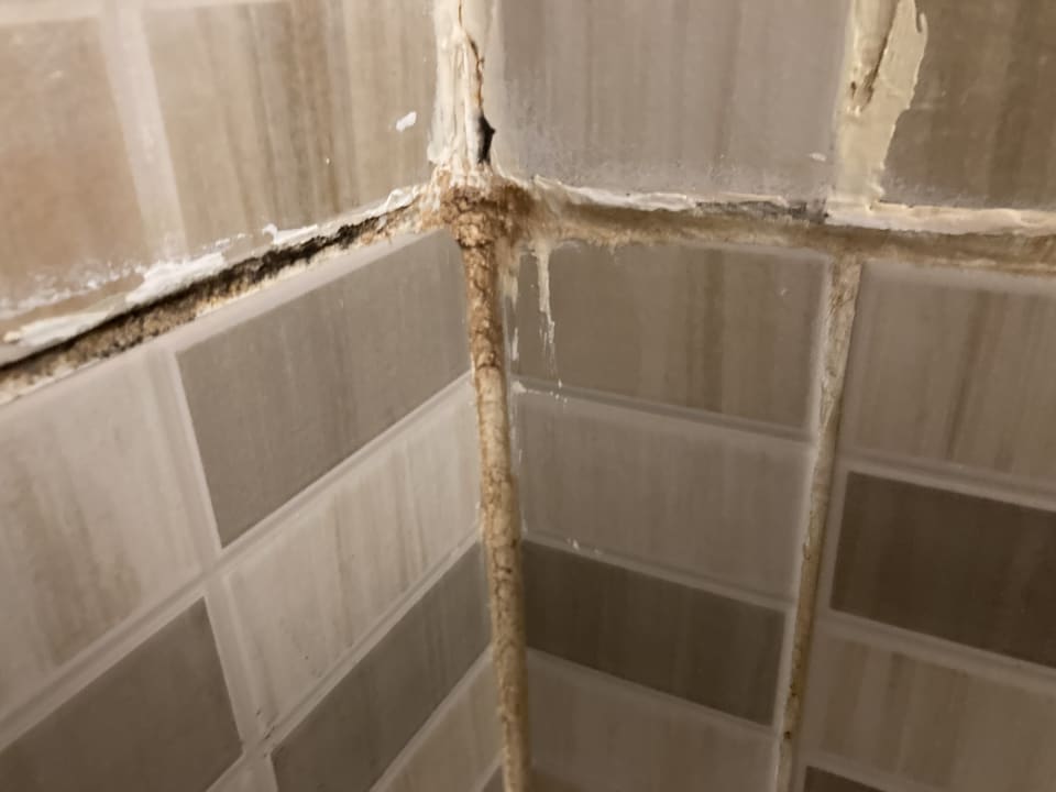 Zimmer Three Corners Sea Beach Resort