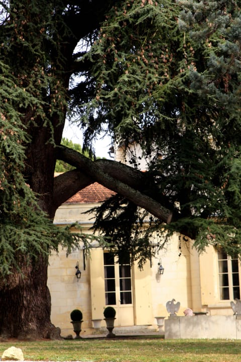 Parc Hotel Château la Moune