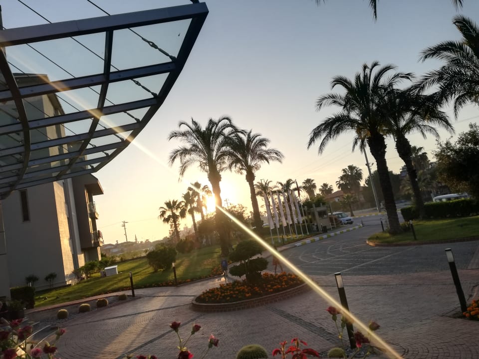 Ausblick Hotel Novum Garden Side