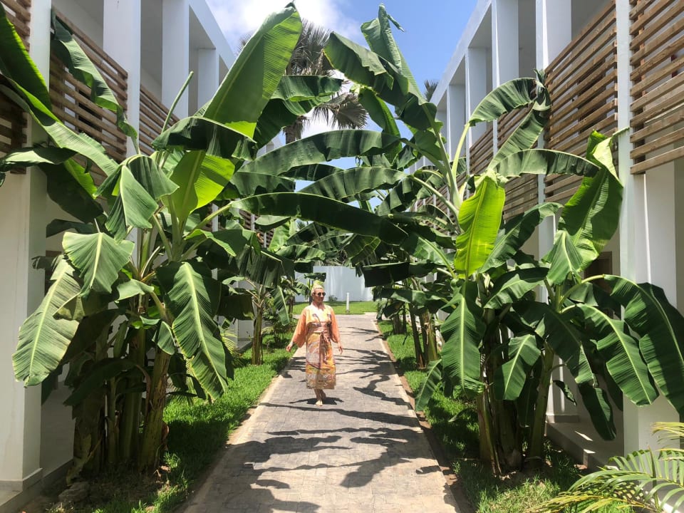 Gartenanlage TUI BLUE Tamala