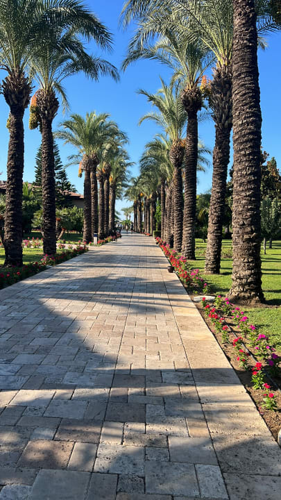 Gartenanlage TUI BLUE Palm Garden