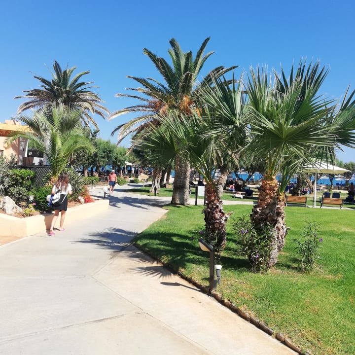 Gartenanlage Anissa Beach & Village