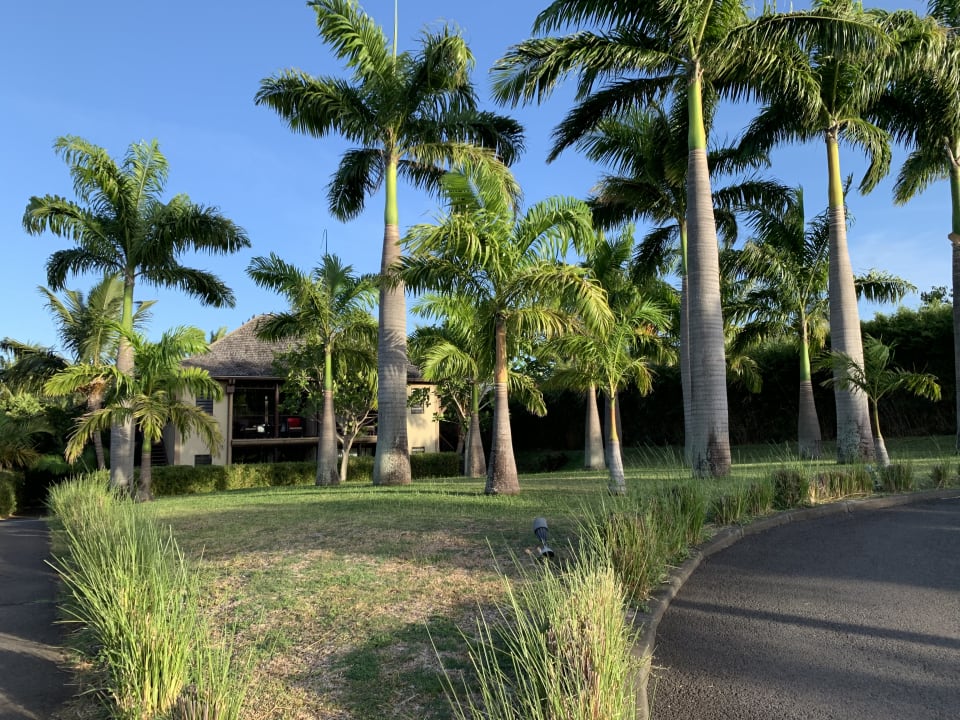 Gartenanlage Palm Hotel & Spa