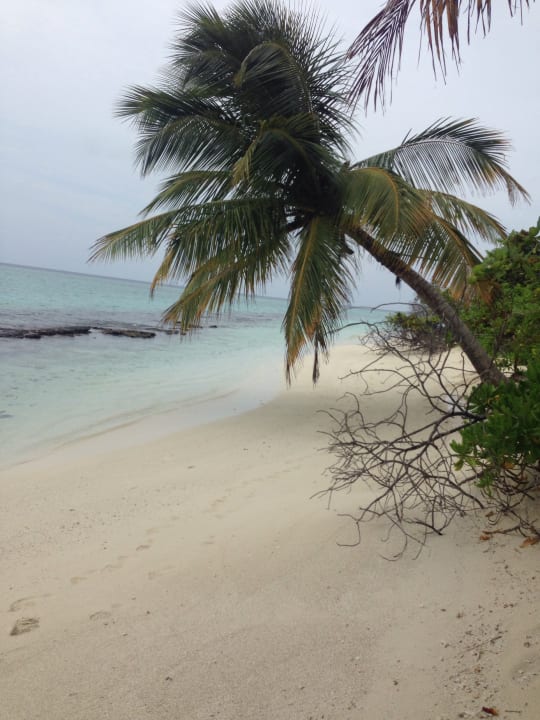 Strand Furaveri Maldives