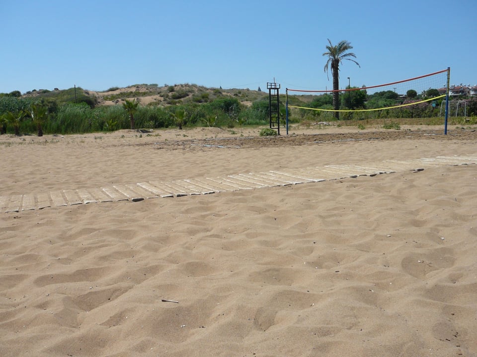Volleyballfeld Royal Atlantis Beach Hotel