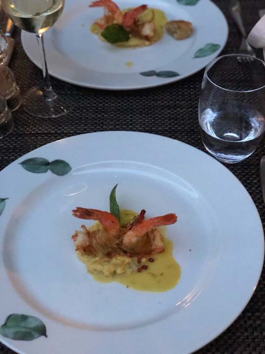 Gastro Acanthus Cennet Barut Collection