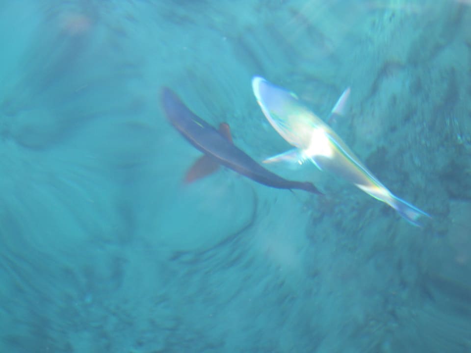 Klares Wasser Sharm Plaza