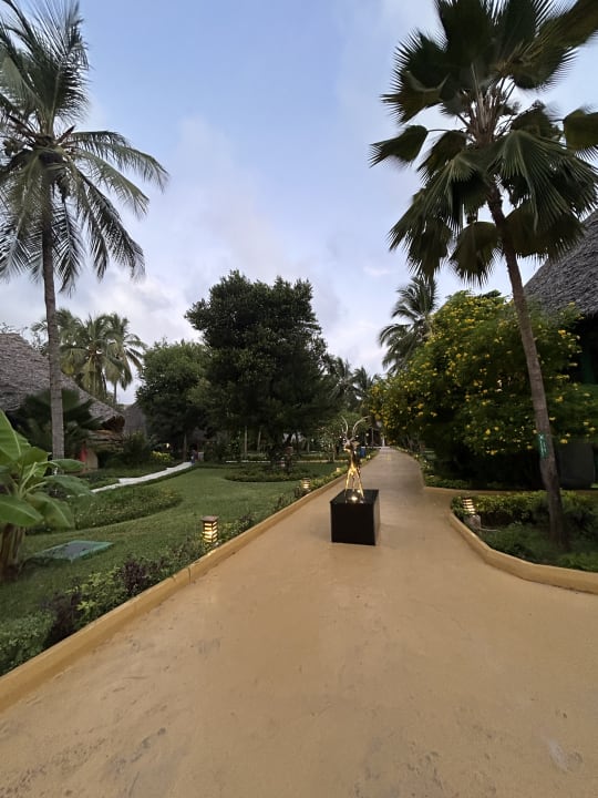 Gartenanlage Hotel Kiwengwa Beach Resort