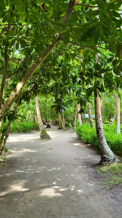 Gartenanlage Filitheyo Island Resort