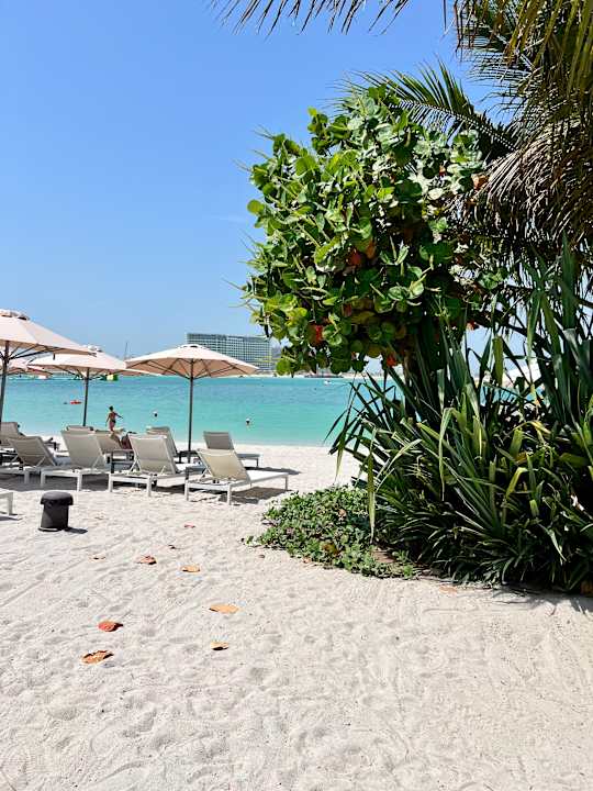 Strand Mövenpick Resort Al Marjan Island