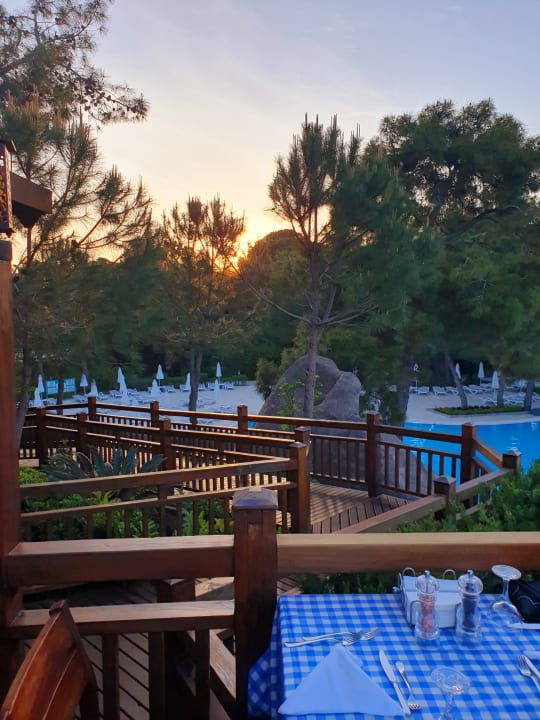 Gastro Blue Waters Club
