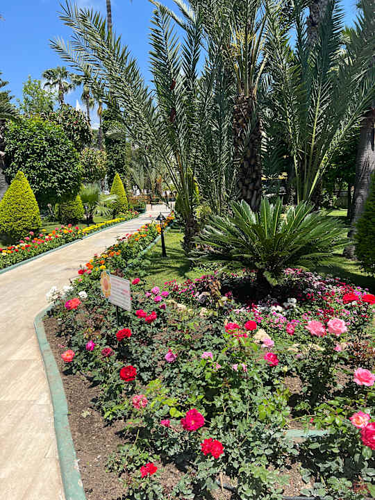Gartenanlage Hotel Botanik Platinum