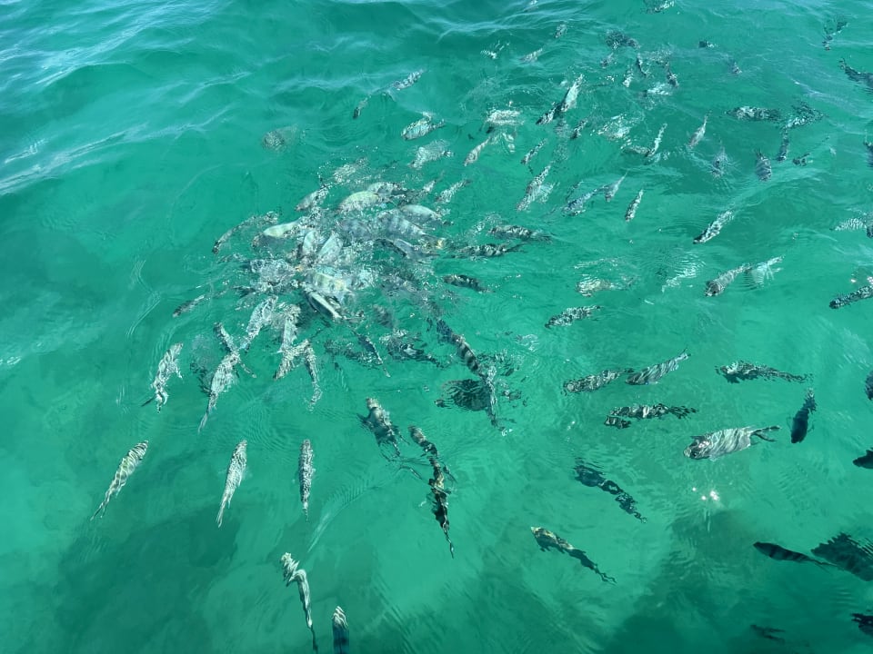 Sonstiges Mauricia Beachcomber Resort & Spa