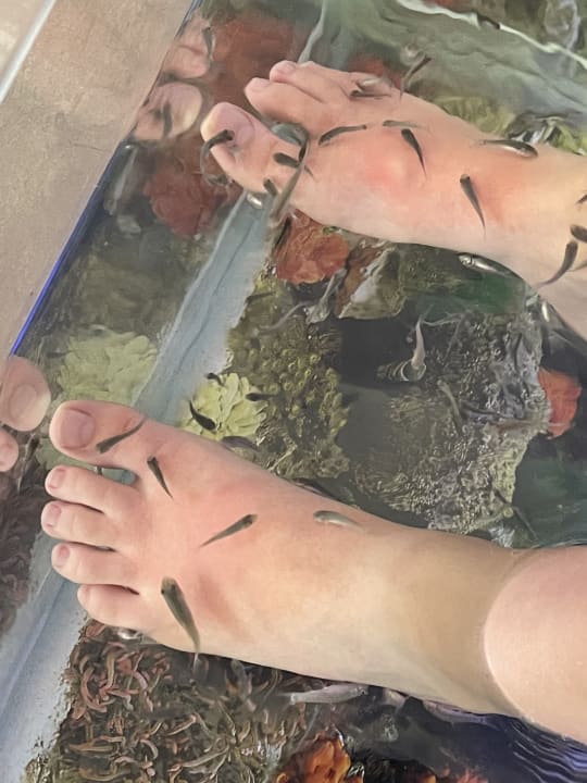 Sport & Freizeit Hipotels Gran Playa De Palma