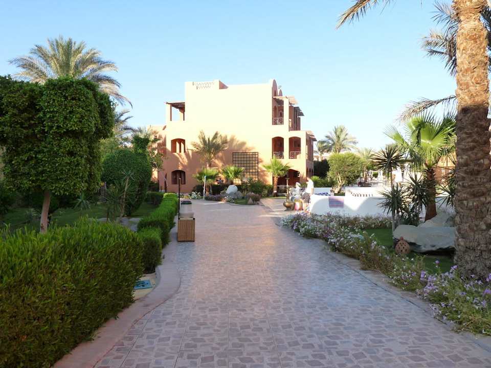 Der Weg zum Strand Jaz Makadi Gardens - TUI BLUE Makadi Gardens - Adults Friendly 16 Years Plus