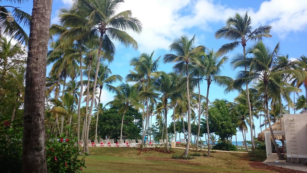 Cooee Garten Wyndham Alltra Samana