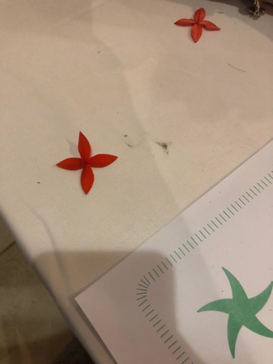 Gastro Iberostar Origin Taínos