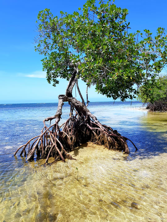Strand Bahia Principe Grand El Portillo
