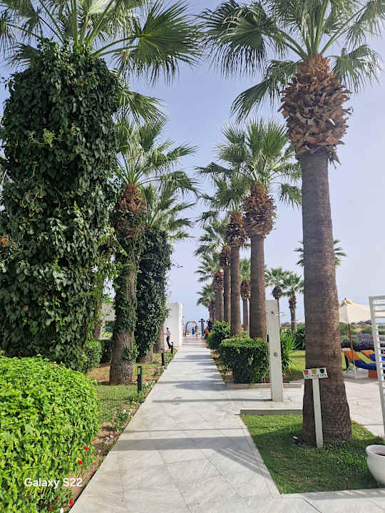 Gartenanlage Hotel Marhaba Palace