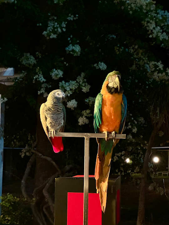 Sport & Freizeit Crystal Springs Beach Hotel