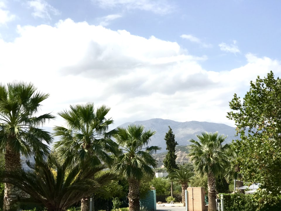 Gartenanlage Atlantica Akti Zeus Hotel
