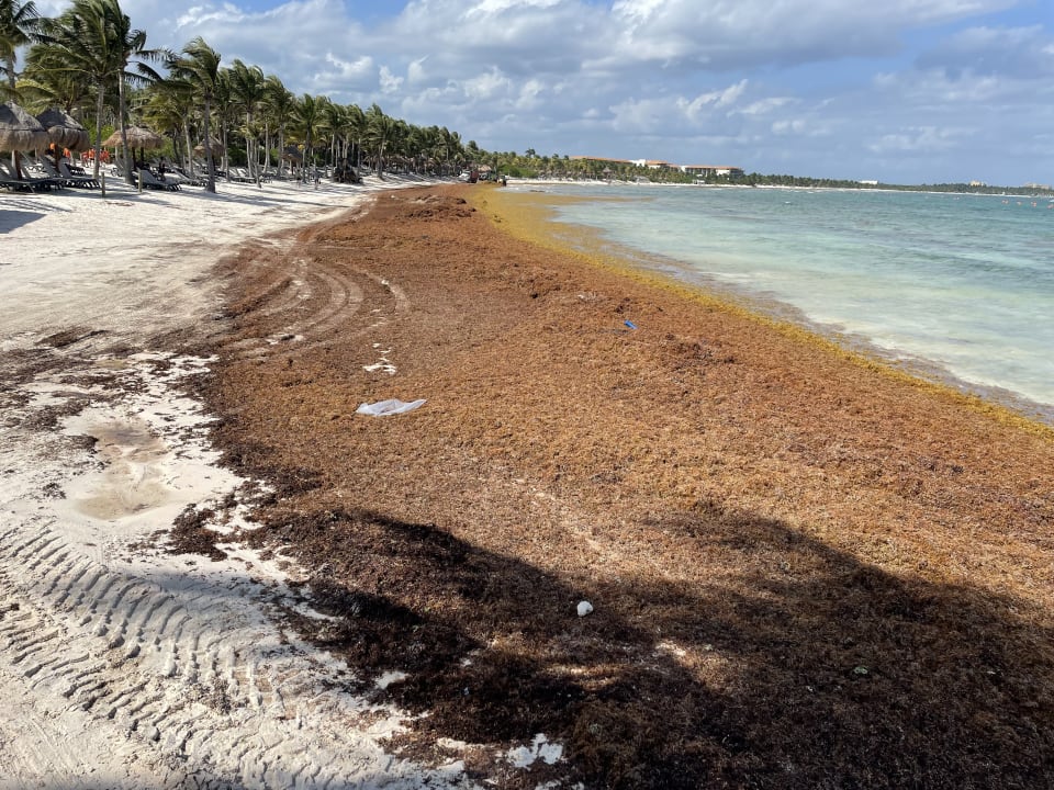 Strand Grand Palladium Select White Sand Resort & Spa