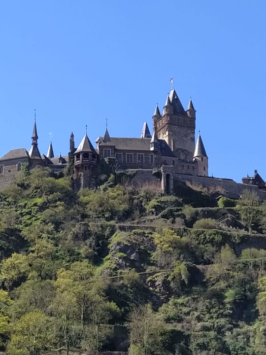 Ausblick Moselstern Hotel Brixiade & Triton