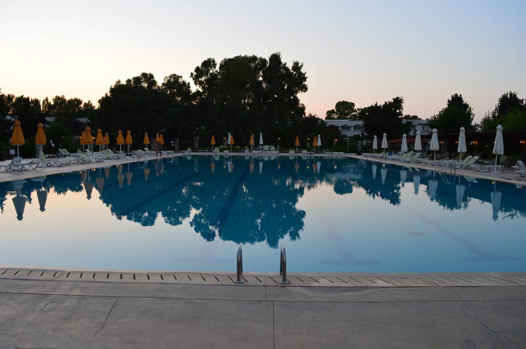 Basen Hotel Athos Palace