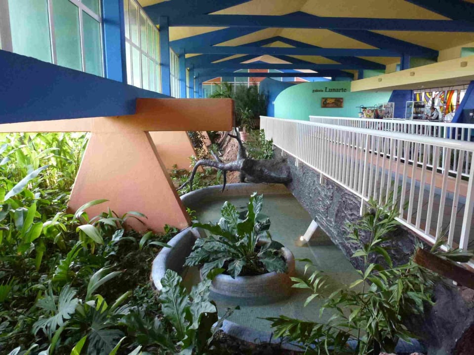 Amigo Rancho Luna Hotel Club Amigo Rancho Luna