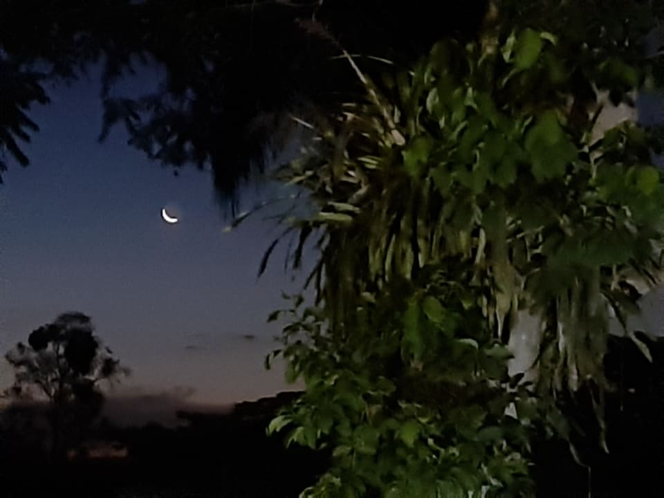 Gartenanlage Sanma Hotel