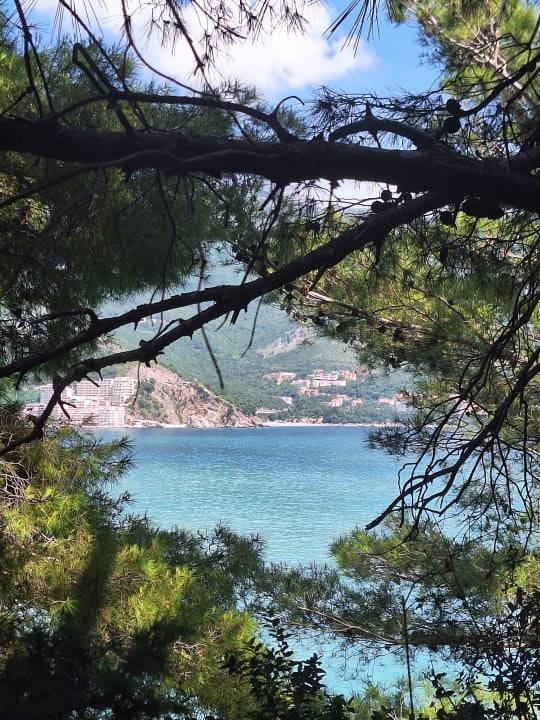 Ausblick Iberostar Waves Bellevue