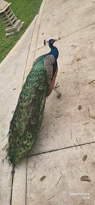 Sonstiges Iberostar Waves Paraiso del Mar