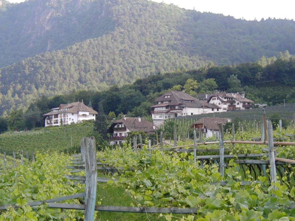 Gasthof Hotel Steinegger Hotel Steinegger